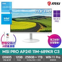 MSI 2022 PRO AP241 11M-689KR C3 WIN11 Pro 1280GB 12GB 인텔 코멧레이크 24형 일체형 PC