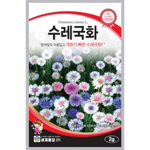 수레국화 씨앗 2g 꽃씨 키우기 화단가꾸기+서비스씨앗증정