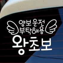 자동차스티커 타이포 양보운전 부탁해용 왕초보