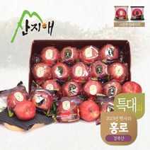 [산지애] 사과 특대과 4kg(10-13과), 단품