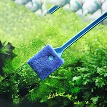 어항 청소 브러쉬 수족관 이끼 제거 청소솔, 그린, 색상_그린