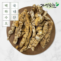 국산 백하수오 건조 토종 백수오 차 300g 효능, 국산 백하수오(중) 300g