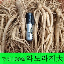 [금산도라지] 직접재배한 생도라지1kg >산지직송>국산도라지 약도라지 엑기스용 나물용 무침 정과용 배즙용 *국산100%*, 1개, 약도라지(대) 1kg