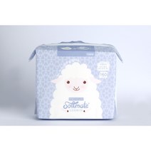 소프트메이트 프리미엄 건티슈, 160매, 1팩