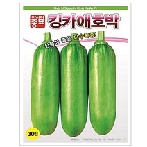 (아시아종묘/호박씨앗종자) 킹카애호박 (30립)