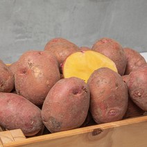 프레아 마켓 햇감자 카스테라 홍감자 자색감자 못난이, 홍감자 5kg 상특