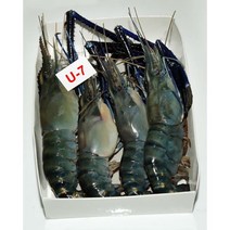 FROZEN GIANT SHRIMP 냉동 큰징거미새우(통새우) 인도 4~5마리{1KG(NET WEIGHT 800g)}/1PACK, 냉동제품 반품불가, 800g
