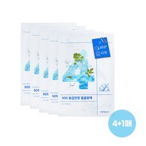 넘버즈인 4번 SOS 응급진정 얼음장 팩 (총5매), 1개, 1개