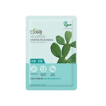다자연 365 그린 선인장 마스크 10매, 10개, 10개