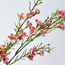 bookaz 왁스플라워 조화 3colors 인테리어 소품 촬영소품 테이블 장식 실크플라워, 화이트