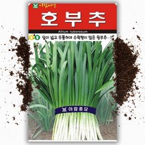 호부추 씨앗(2000립) 왕부추 잎이 넓고 두툼, 1개