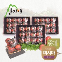[산지애]블랙라벨 씻어나온 고당도 사과 3kg x 3박스 (총 30~36과), 단품