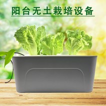 가정용 식물재배기 수경재배기 식물 재배기 무토재배설비 실내 베란다 채소신기 수경재배채기 스마트 수배채소, 옵션01, 크다