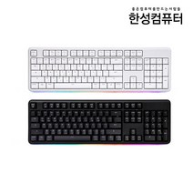 한성컴퓨터 TFG ARF RGB LED 게이트론 광축 기계식 키보드 화이트 갈축