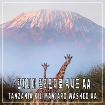 (커피생두) 35 탄자니아 킬리만자로 워시드 AA 1kg, 1개