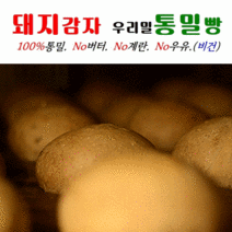 [유스마일] 한달30개 돼지감자통밀빵 60g 매일 하루 1개 650원