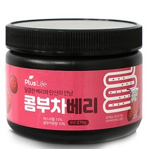 SP 콤부차 베리 분말 탄산 유산균 프리바이오틱스 발효 음료, 1개