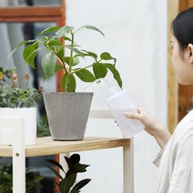 심플 물뿌리개 화분 물조리개 250ml 500ml 식물 다육 선인장 화단 원예