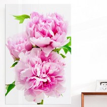 [바보사랑] 아크릴액자_금전운의꽃모란(대형), 상세 설명 참조