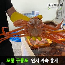 이츠올릿 포항 구룡포 연지 자숙 홍게 3kg 속초 포항 홍개 주문진 영덕 박달 대게, 상세페이지 참조, 일반용 B급_3kg 12미 （수율 70%내외）