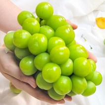 프레시잉 산지직송 고당도 프리미엄 샤인머스켓 1kg 2kg 3kg, 가정용 2kg 내외 (5~6수), 1개