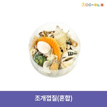 조개껍질(혼합)
