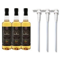 바리스타 헤이즐넛향 커피시럽 750ml 3병 + 시럽펌프 3개