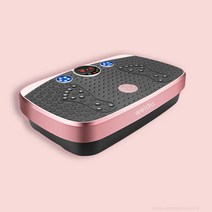 진동운동기 밸런스 두스룬 저소음 덜덜이 전신 밸런스 유산소 근력 실내 홈트, 자석H1