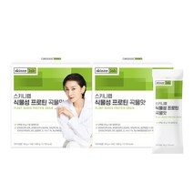 순 식물성 단백질 100% 1포당 단백질 20g 스키니랩 식물성 프로틴 곡물맛 560g, 2박스