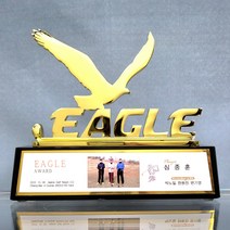 우진아썸 골프트로피 이글트로피 이글패 싱글패 홀인원패 골프대회트로피 케이트로피 WE61