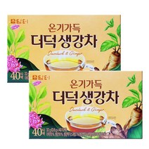 담터 더덕생강차 40입 x2개/생강차 전통차 티백차