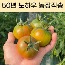 대저 짭짤이 토마토 프리미엄 최상급 2.5kg, 짭짤이토마토 로얄과(S~2S) 2.5kg