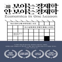 하나북스퀘어 보이는 경제학 안보이는 경제학 지금 당장 눈에 보이지 않는 곳을 길고 넓게 봐야 경제가 제대로 보인다