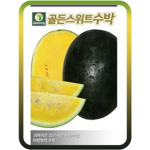 골든스위트수박씨앗 200립 망고수박 여름과일 고당도 수박씨 노란수박