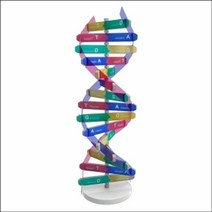 뉴 모형 1인용 만들기 DNA 입체, 봄의피는꽃 본상품선택