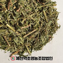 국산 야관문 비수리 500g 제천약초영농조합 제천약초시장, 1, 500
