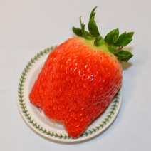 킹스베리 논산딸기 산지직송 대왕 딸기 2kg 딸기선물 과일선물세트 제철 생딸기, 특특(36~41g) 2kg