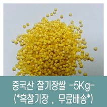 [다온농산] 2022년산 수입 중국산 찰기장쌀 -5Kg- <국내도정> 대용량” class=”wr-img”></a></div>
</div>
</div>
</div>
<div class=