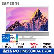 삼성 올인원PC DM530ADA-L78A - 8GB 2TB WIN11 HOME 사무용 가정용 공간활용 일체형PC ED