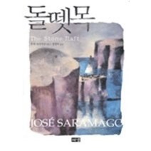 [개똥이네][중고-상] 돌뗏목