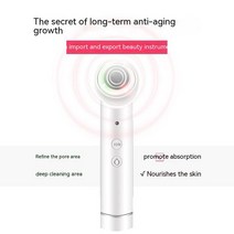갈바닉 스파 얼굴 피부 클린 EMS 페이셜 마사지기 주름 제거 음이온 뷰티 기, 01 White