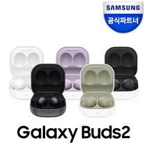 삼성전자 갤럭시 버즈2 블루투스 이어폰, SM-R177N, 그라파이트