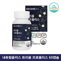 씹어먹는 레드 프로폴리스 아연 츄어블 그린 프로폴리스 셀렌 비타민 그린폴리스 내츄럴플러스 트리플 프로폴리스 면역력 항산화 영양제 60정