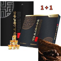 1+1 광동 일품 기력보환 + 30환 + 쇼핑백포함 부모님 어버이날 어르신 명절 기력환 건강 효도 선물, 60개, 3.75g