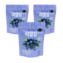 산마을 리얼칩 블루베리, 20g, 12개