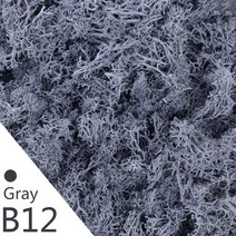 20/40g 자연 영원한 생명 녹색 이끼 인공 식물 홈 정원 잔디 장식 DIY 마이크로 조경 꽃 액세서리, 12 B12_02 40g