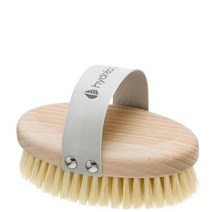 선인장 파이버 강모 Hydrea London Beech Wood Body Brush, 1팩