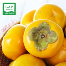 [생산자직송] 창원 송본 단감 5kg, (왕특) 5kg