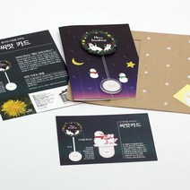 파라솔-크 리스 마스 카드 (민들레) 애완 식물 씨앗 반려 식목일 키우기 틔움 묘정, 단품
