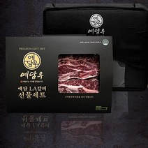 [예담한우] 프리미엄 LA갈비선물세트_1kg_500gx2팩, 없음